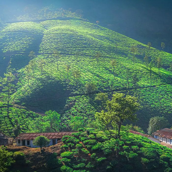 Valparai Hill Station