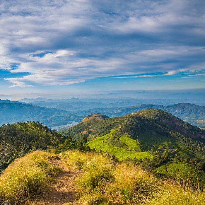 Kolukkumalai Hills