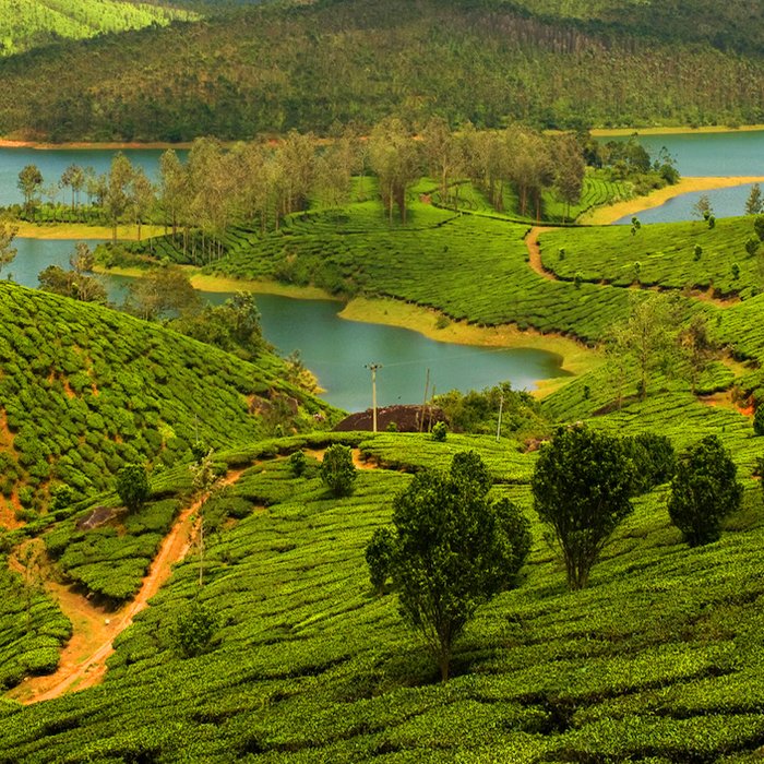 Yelagiri Hill Station