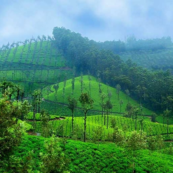 Topslip  Hill Station