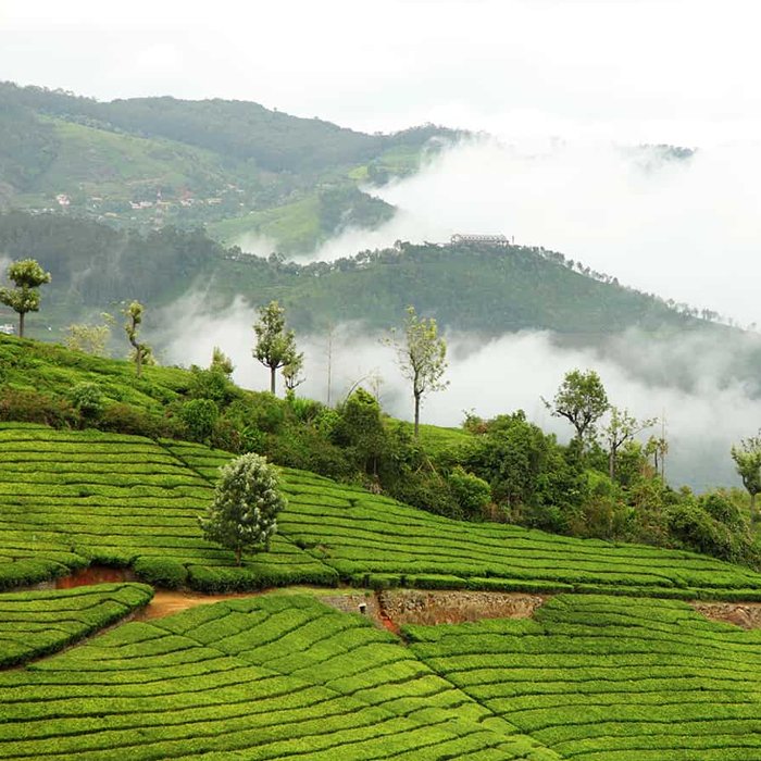 Coonoor Hill Station
