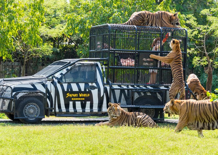 Thailand trip itinerary featuring Safari World and Coral Island tour