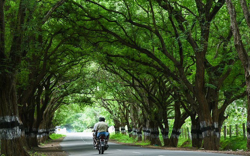Scenic Valparai hairpin road and tea estates near Pollachi for a one day trip