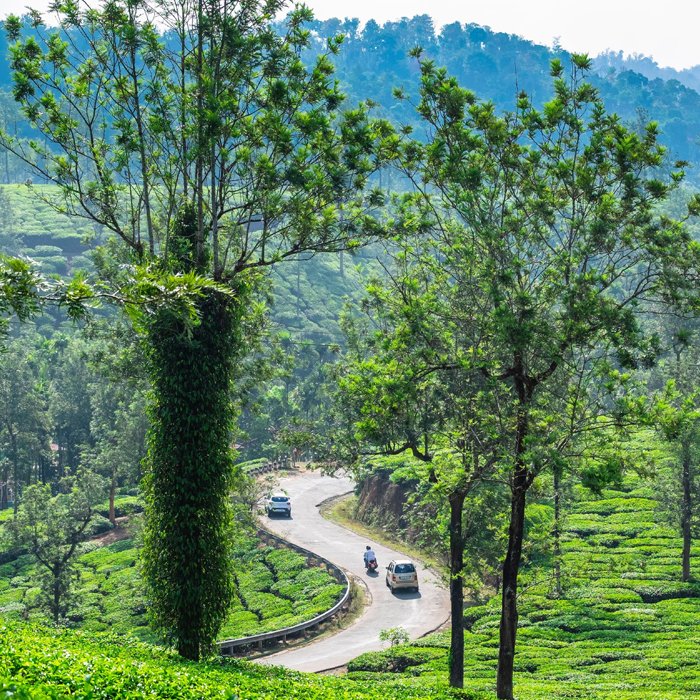 Scenic Kerala backwaters and lush green landscape from Coimbatore to Kerala tour package